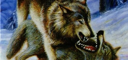 The Call Of The Wild